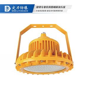 LED免维护防爆灯DFC-8103C
