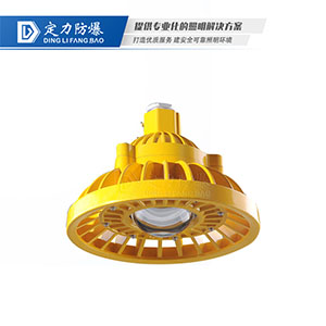 LED免维护防爆灯DFC-8101A