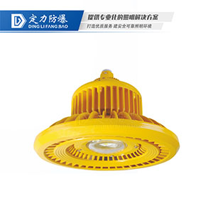 LED免维护防爆灯DFC-8101D