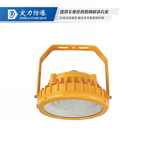 LED免维护防爆灯DFC-8104A