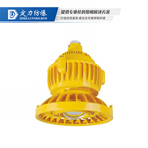 LED免维护防爆灯DFC-8101B