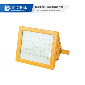 LED免维护防爆灯DFC-8111A