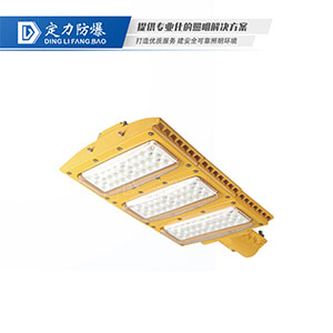 LED免维护防爆灯(路灯型)DFC-8613