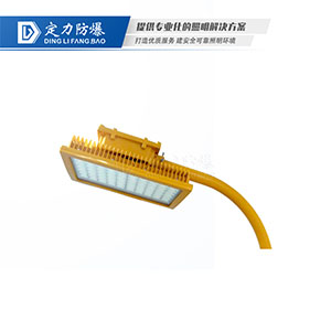 LED免维护防爆灯(路灯型)DFC-8611B