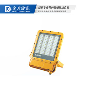 LED免维护防爆灯DFC-8115