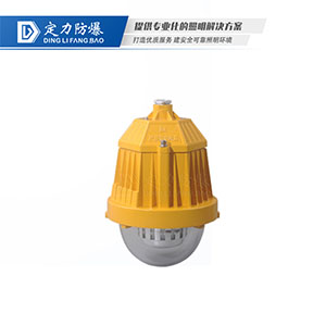 LED免维护防爆灯DFC-8765