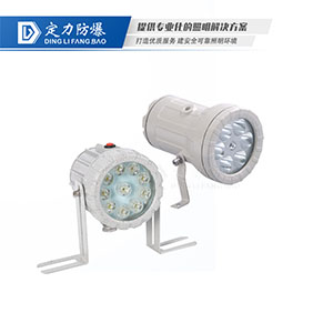 LED免维护防爆灯(视孔灯)DFC-S96