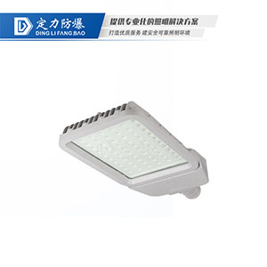 LED免维护防爆灯(路灯型)DFC-8612B