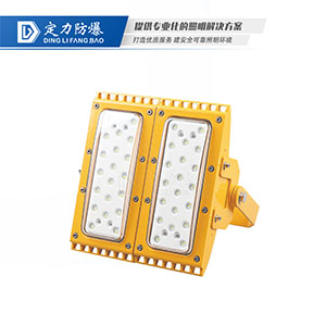 LED免维护防爆灯DFC-8113-2