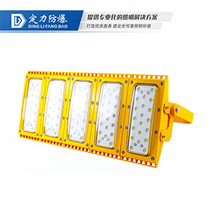 LED免维护防爆灯DFC-8113-5