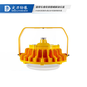 LED免维护防爆灯DFC-8104D