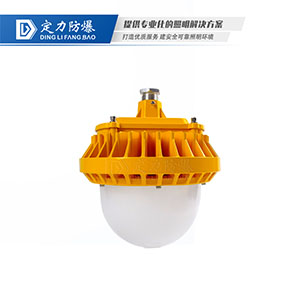 LED免维护防爆灯DFC-8789