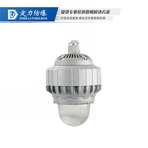 LED免维护防爆灯DFC-R91