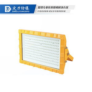 LED免维护防爆灯DFC-8198C