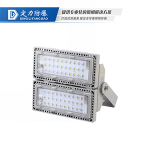 LED三防投(泛)光灯DTC9280